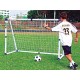 Mini Goal